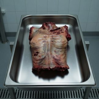 Luttra Cadaver Torso