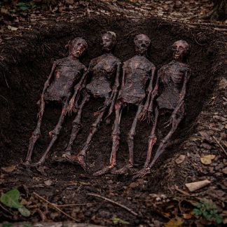 Burnt Skeleton Cadaver