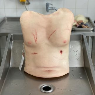 Trauma Torso Skin Standard  - CBS0129