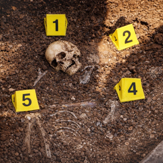 Crime Scene Numbers V-Cones. Vesra cone