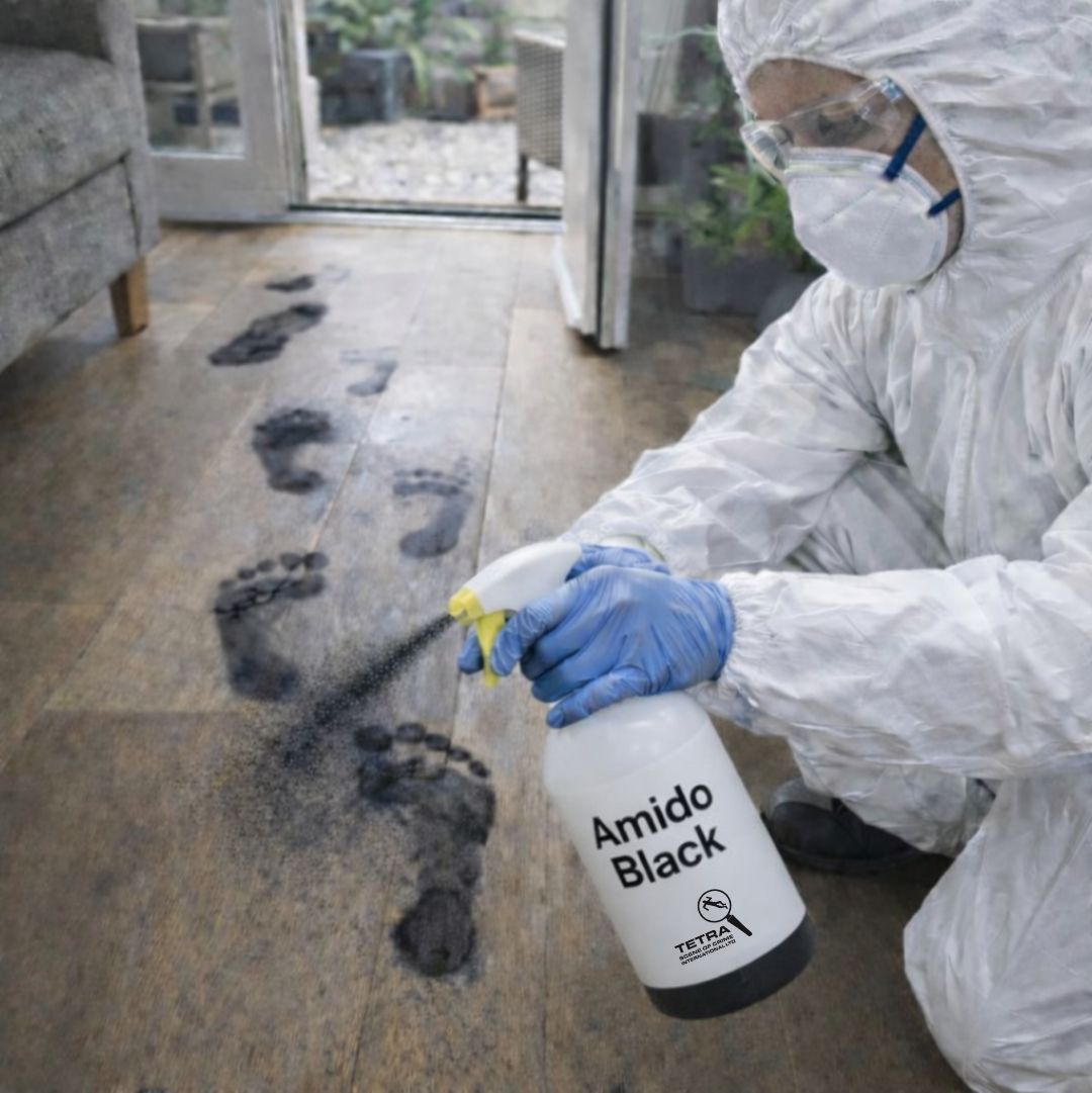 Amido Black Naphthalene Black