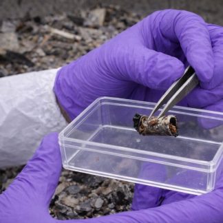 Clear Evidence Boxes 138mm x 96mm x 30mm - EEC0116