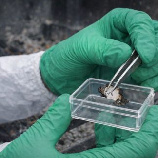 Clear Evidence Boxes 58mm x 38mm x 24mm – EEC0114