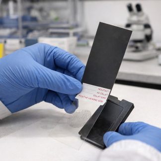 Hinged Print Lifters Black - 2" x 4" - 12/box - FLT0118