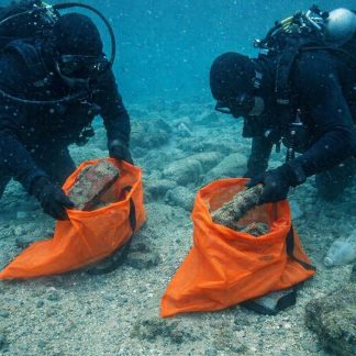 Forensic Limb Recovery Bag