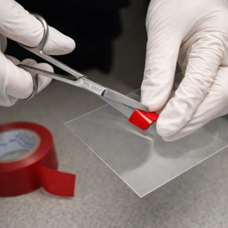 Stainless Steel Scissors